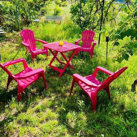Appartamento Echapee Belle - Vinayard View - Jacuzzi Bbq - Parking Nizza Esterno foto