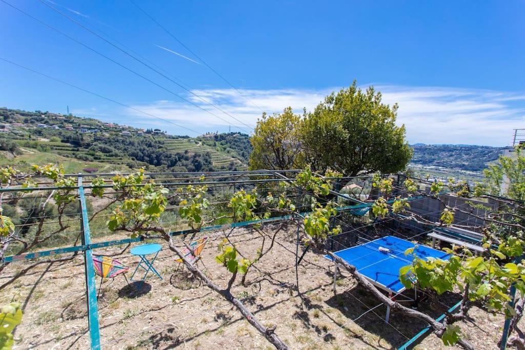 Appartamento Echapee Belle - Vinayard View - Jacuzzi Bbq - Parking Nizza Esterno foto