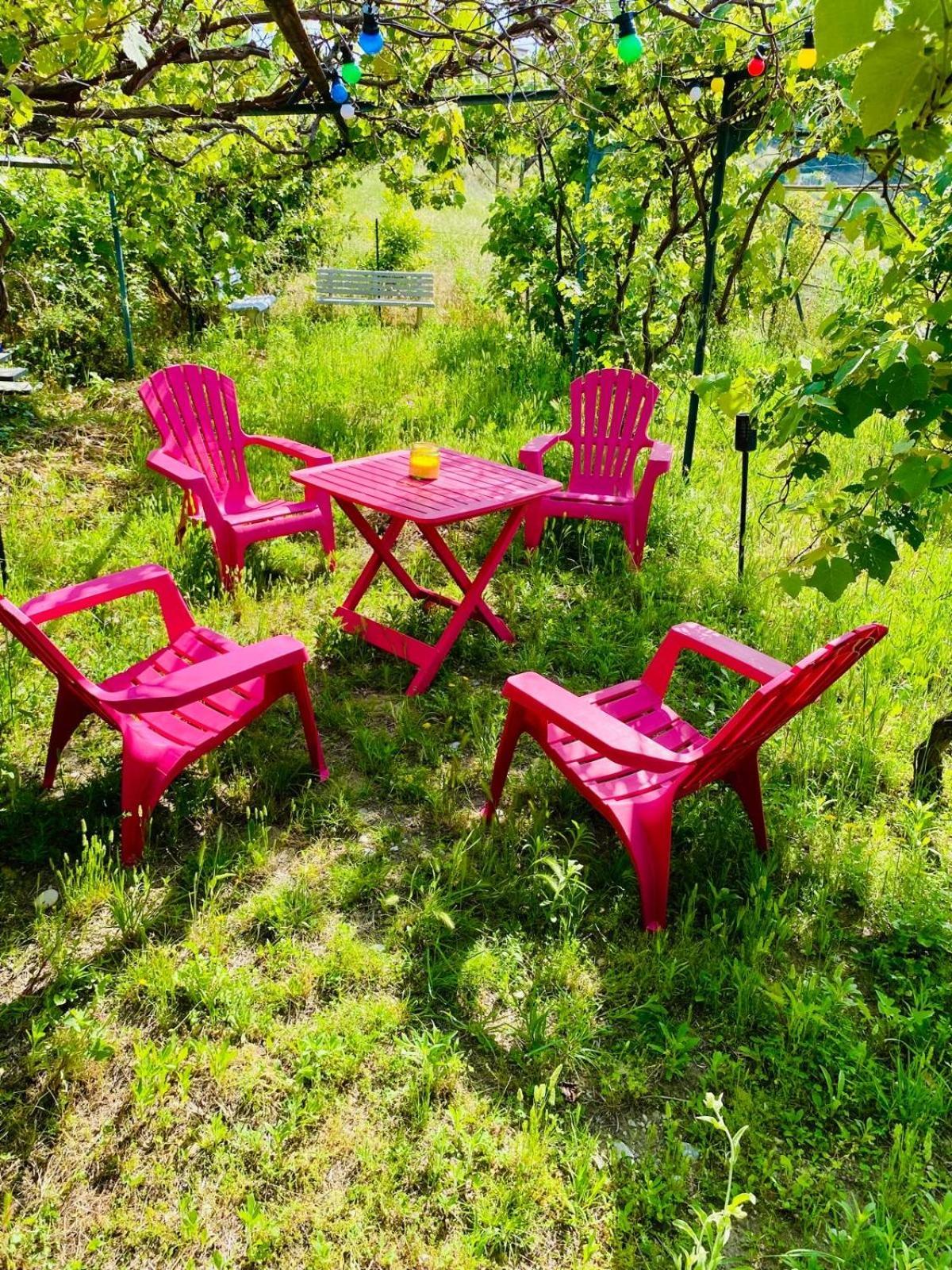 Appartamento Echapee Belle - Vinayard View - Jacuzzi Bbq - Parking Nizza Esterno foto